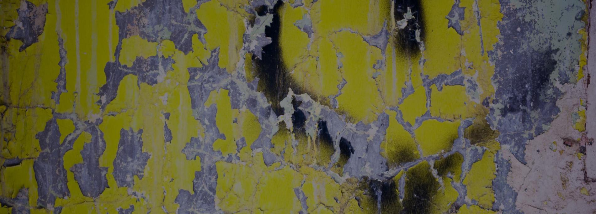 Environmentally Friendly Paint Remover